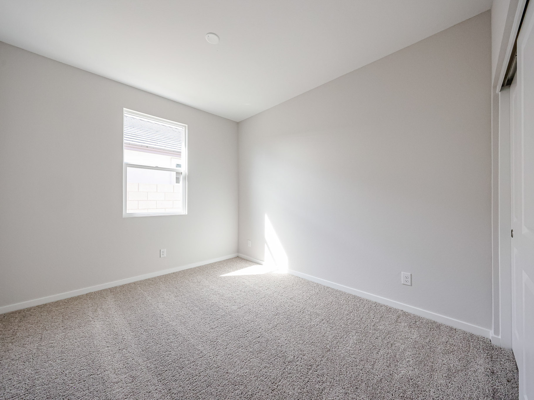 A room with a carpet and a window.
