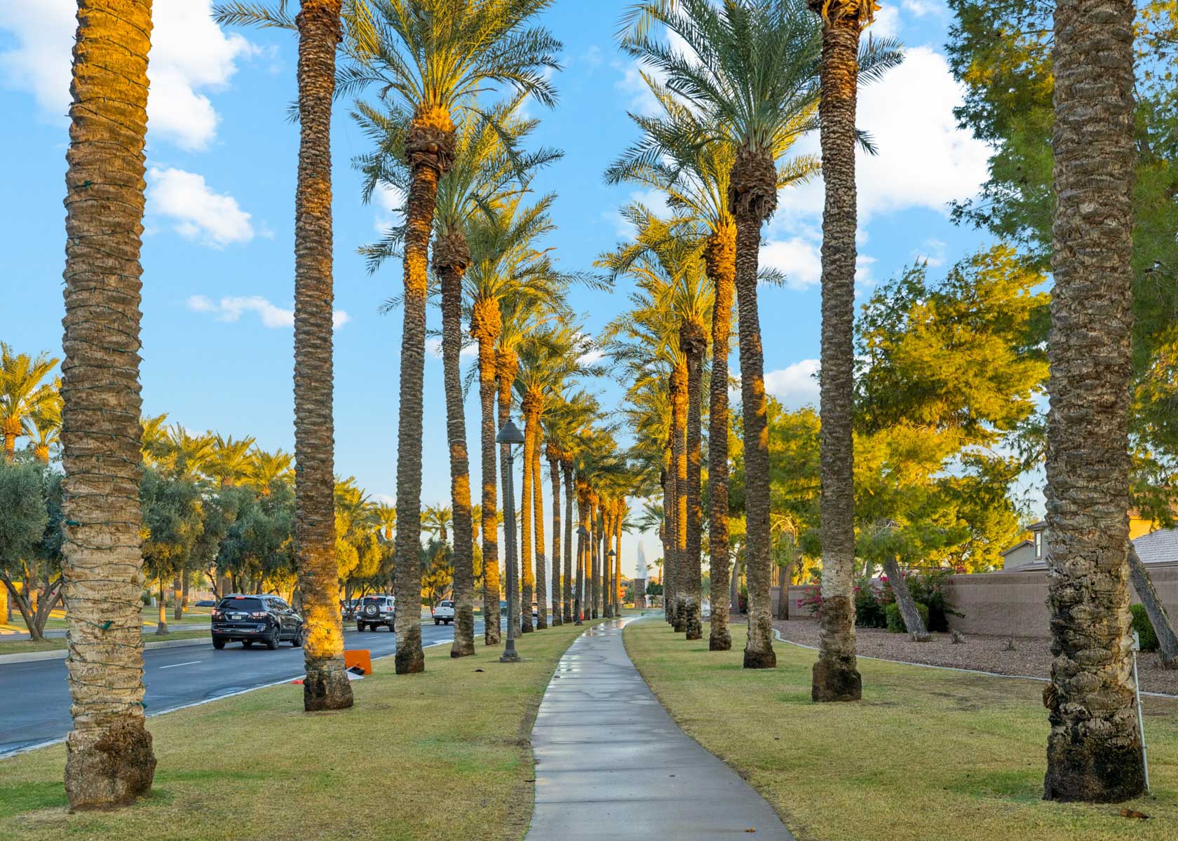 A road with trees on the side.