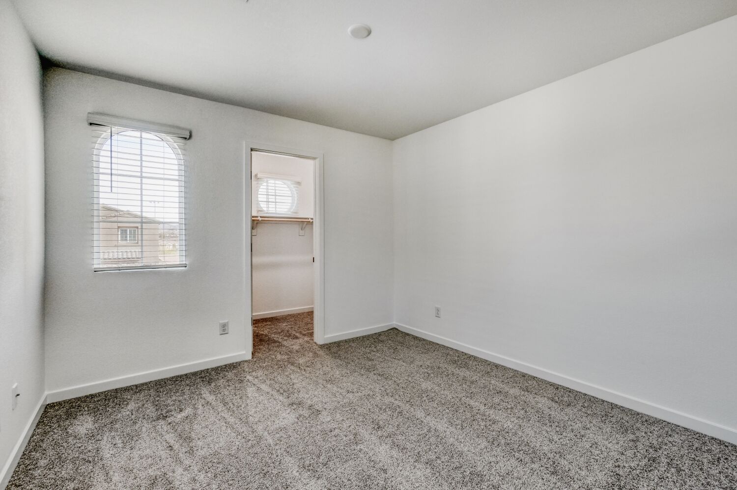 A room with a carpet and a window.