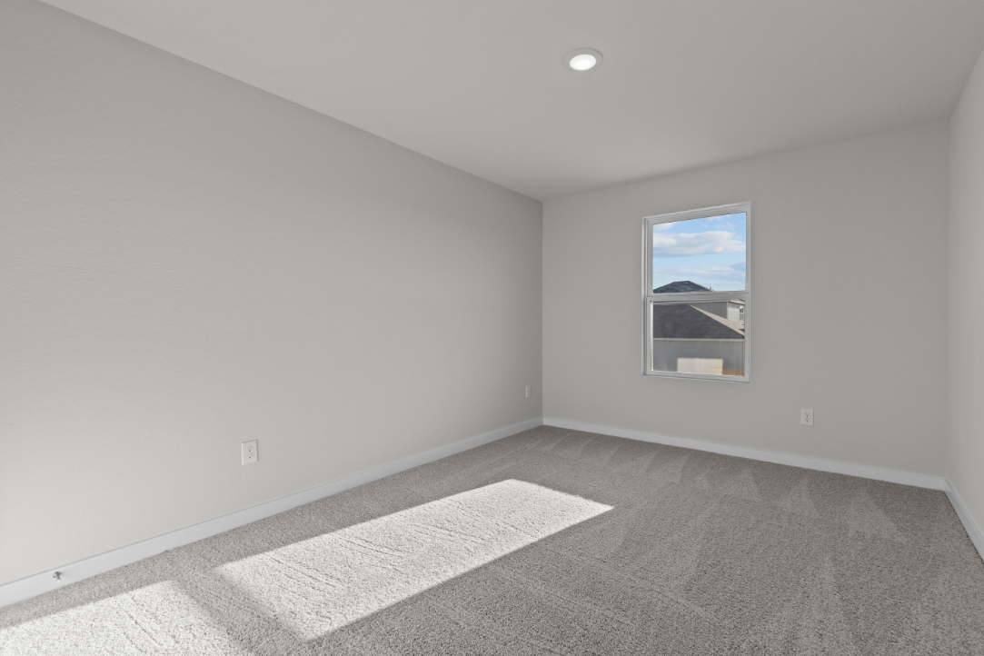 A room with a rug and a window.