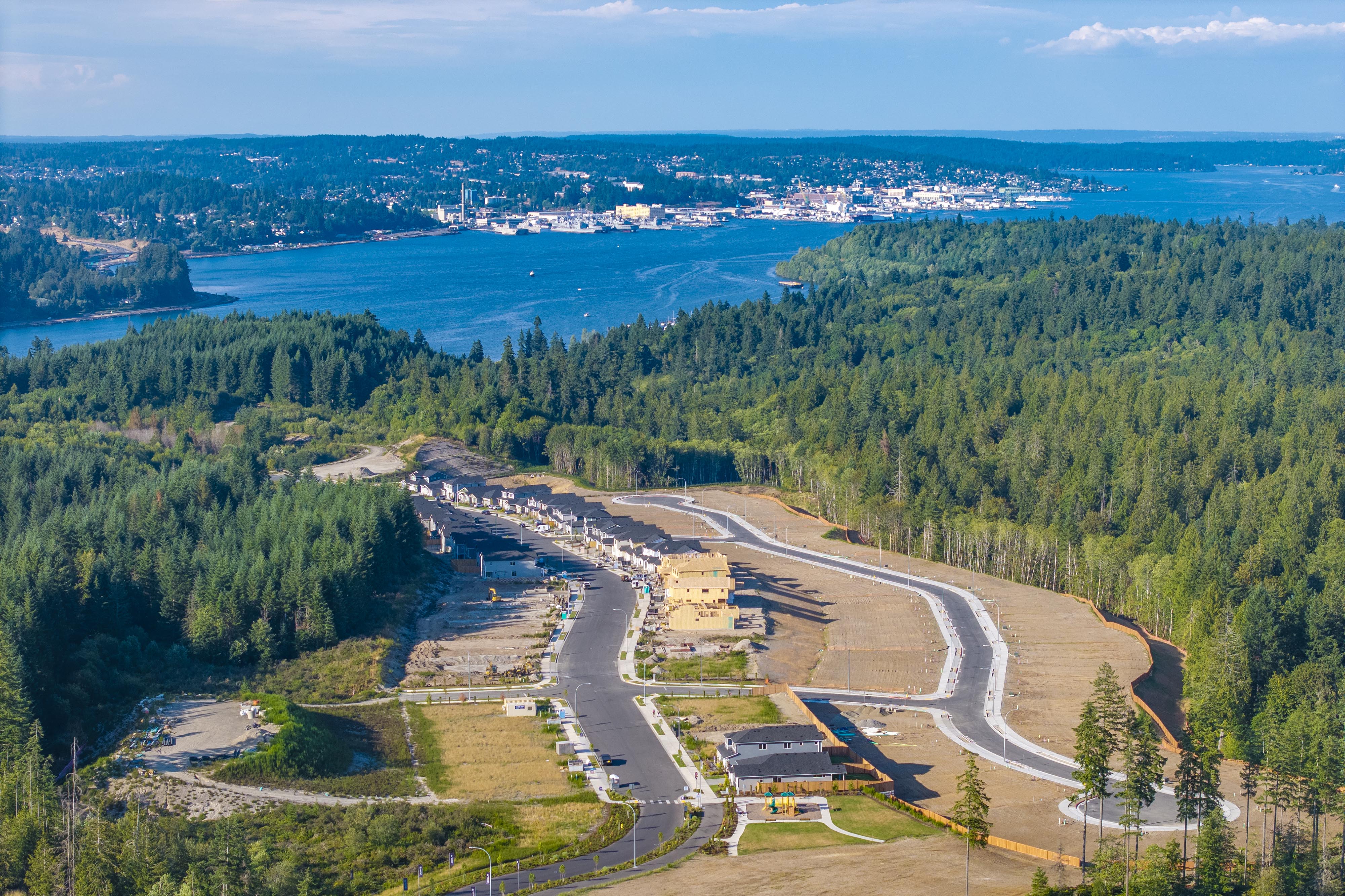 A river running through a forest.